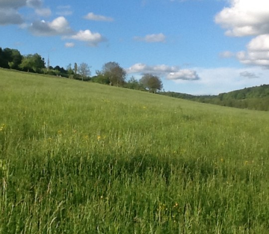 expérience la nature